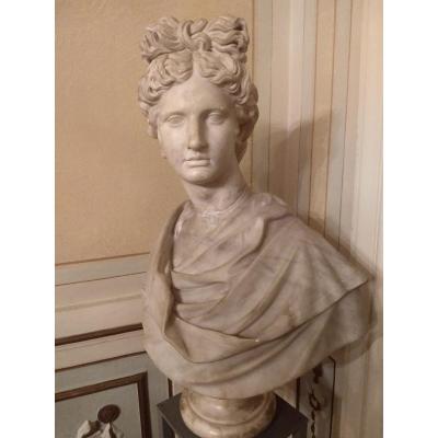 Apollo Du Belvédère Marble Sculpture, Renaissance.