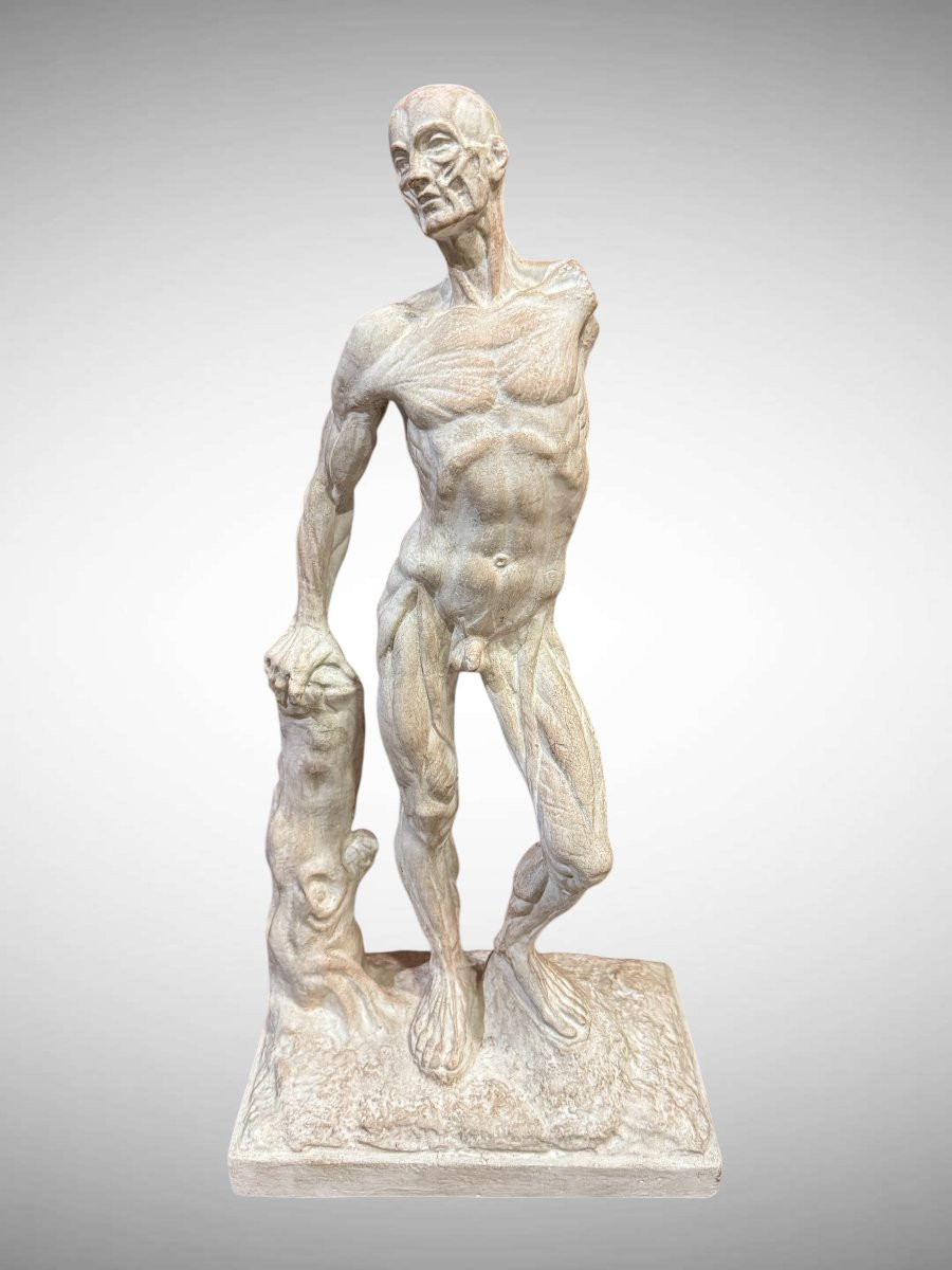 Statue en plâtre Ecorchée ou Dépouillée – Ercole Lelli-photo-2