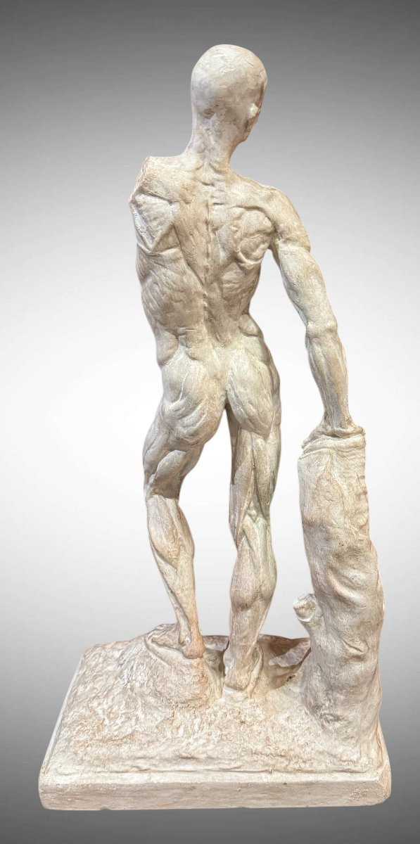 Statue en plâtre Ecorchée ou Dépouillée – Ercole Lelli-photo-3