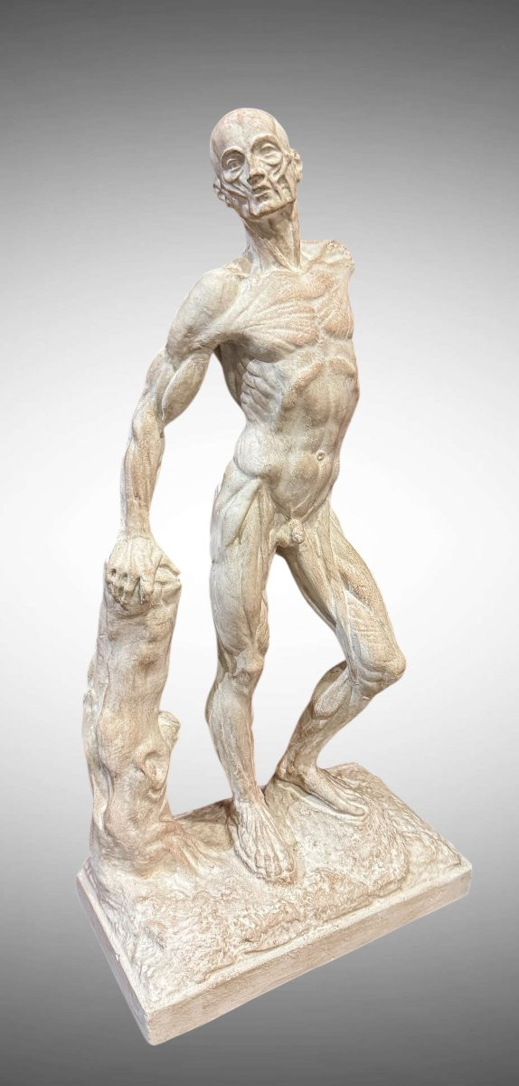 Statue en plâtre Ecorchée ou Dépouillée – Ercole Lelli-photo-4