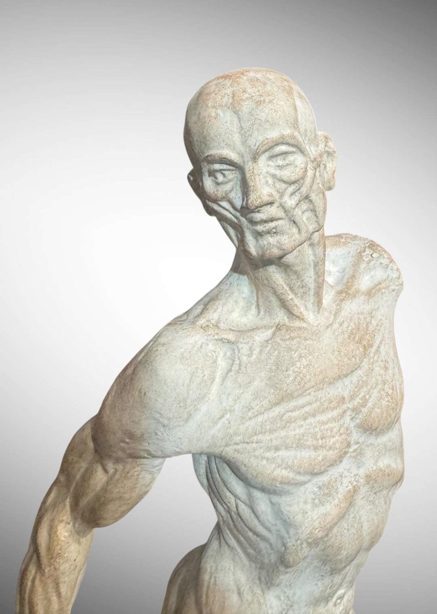 Statue en plâtre Ecorchée ou Dépouillée – Ercole Lelli-photo-1