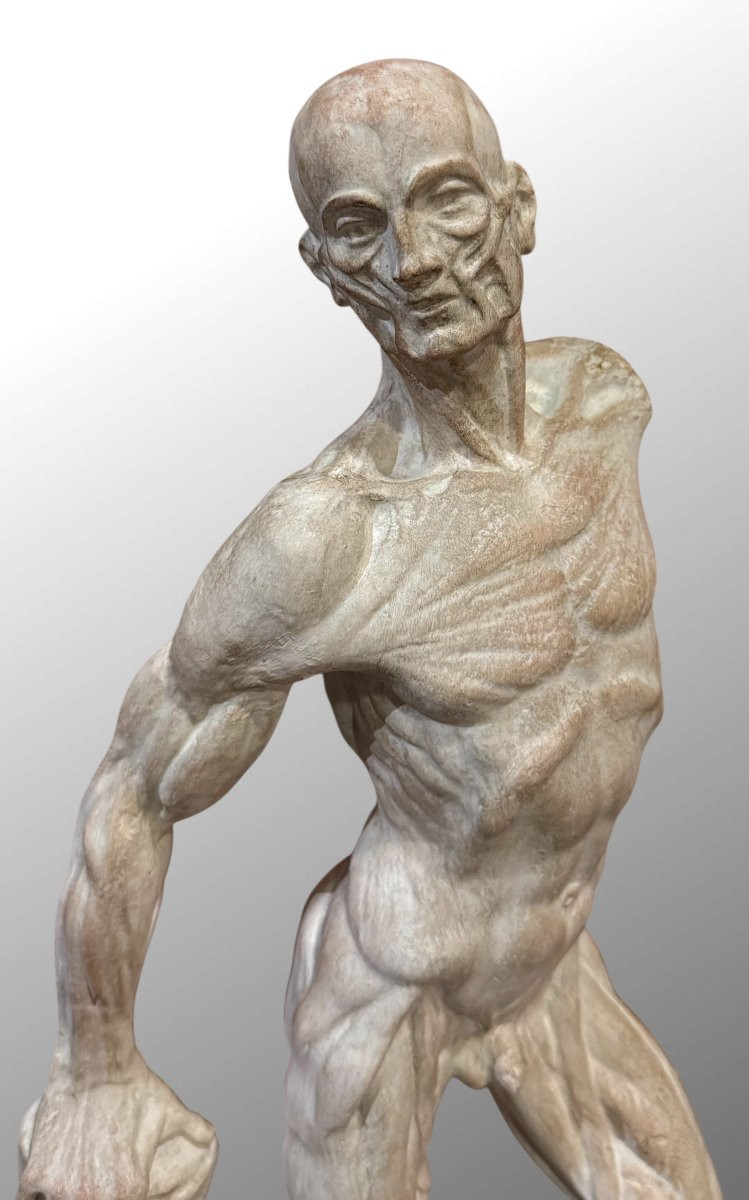 Statue en plâtre Ecorchée ou Dépouillée – Ercole Lelli-photo-5