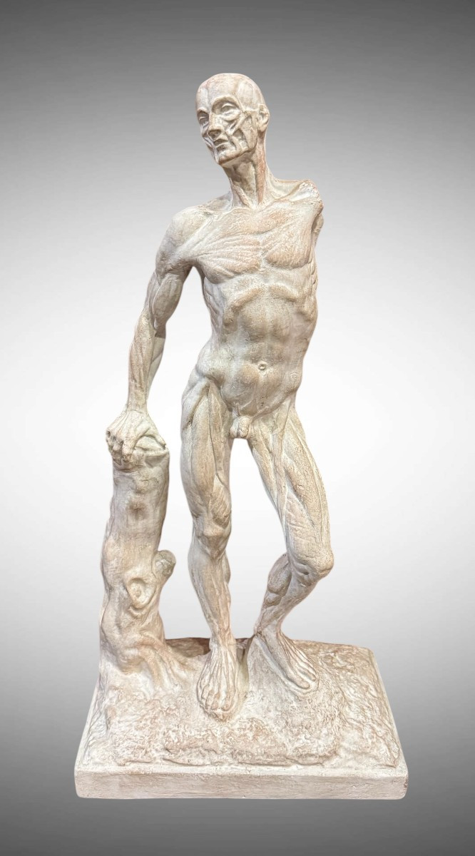 Statue en plâtre Ecorchée ou Dépouillée – Ercole Lelli