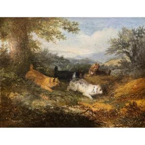 George Armfield - Painting Depicting Terrier Dogs Hunting