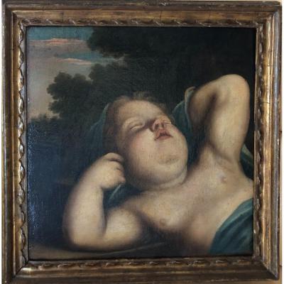 Chérubin endormi - Peinture Sur Toile Fin XVIIe Siecle - Attr. M.Franceschini