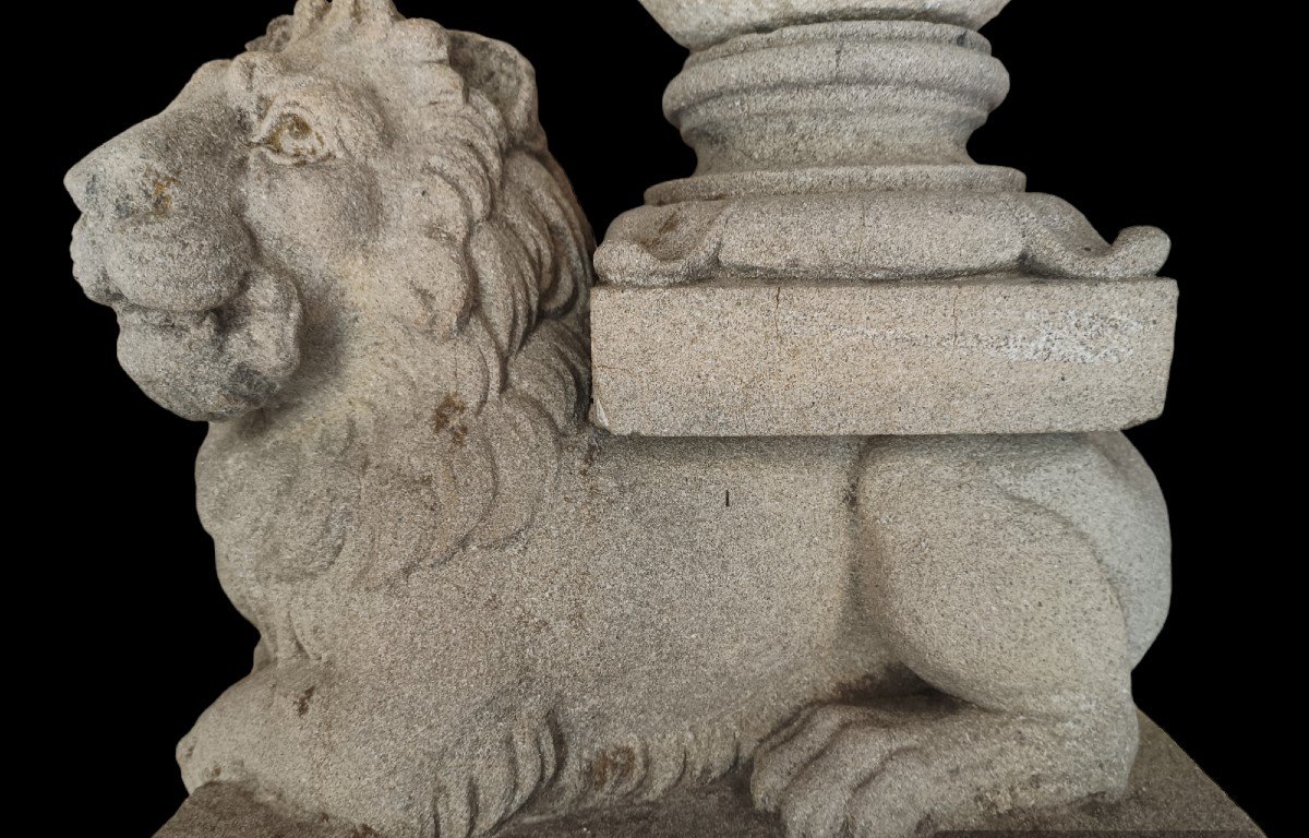 Paire De Lions Sculptés En Pietra Serena. Toscane, XVIIIe Siècle.-photo-4