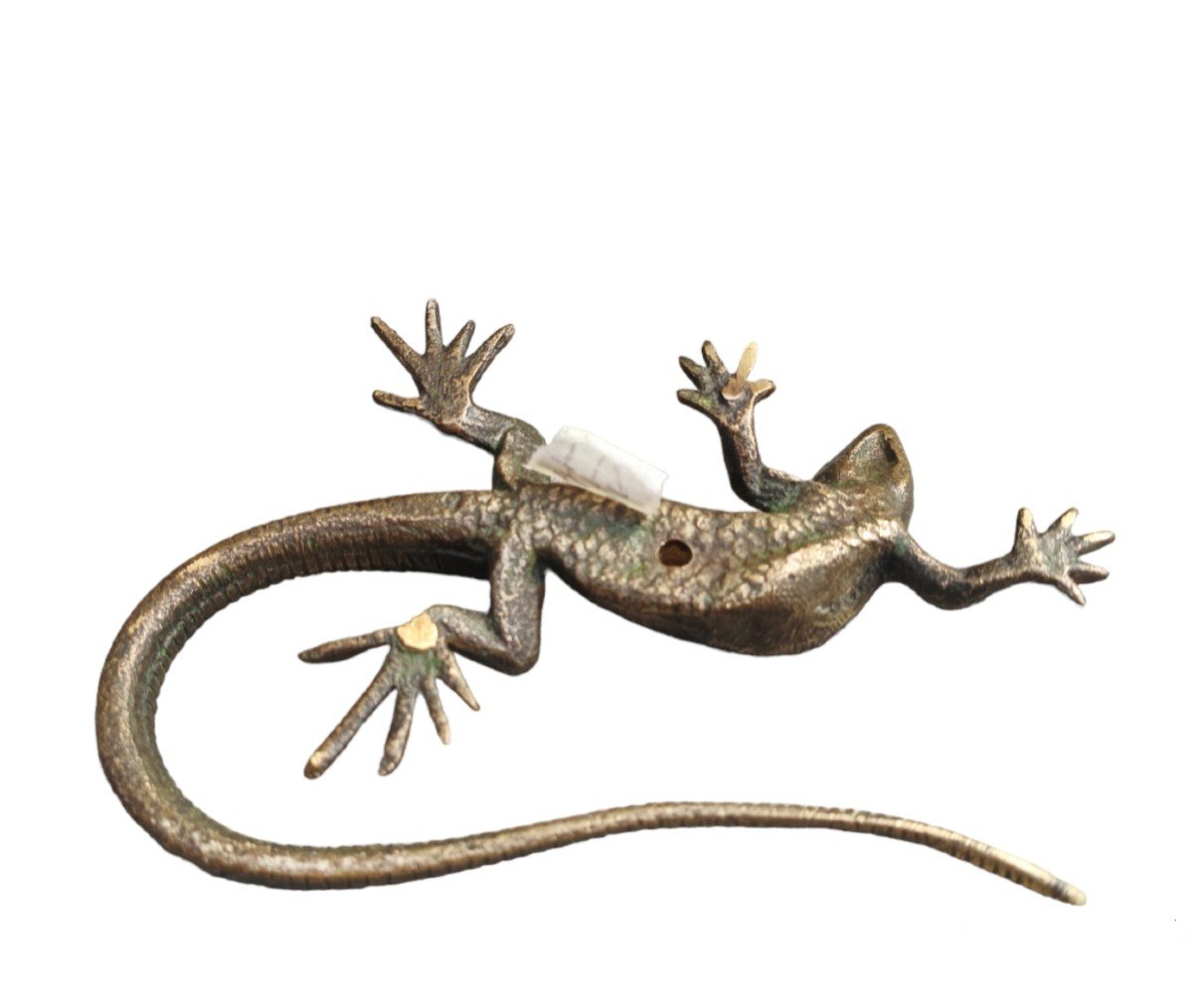 Bronze Sculpture Depicting A Lizard. 19th Century.-photo-4