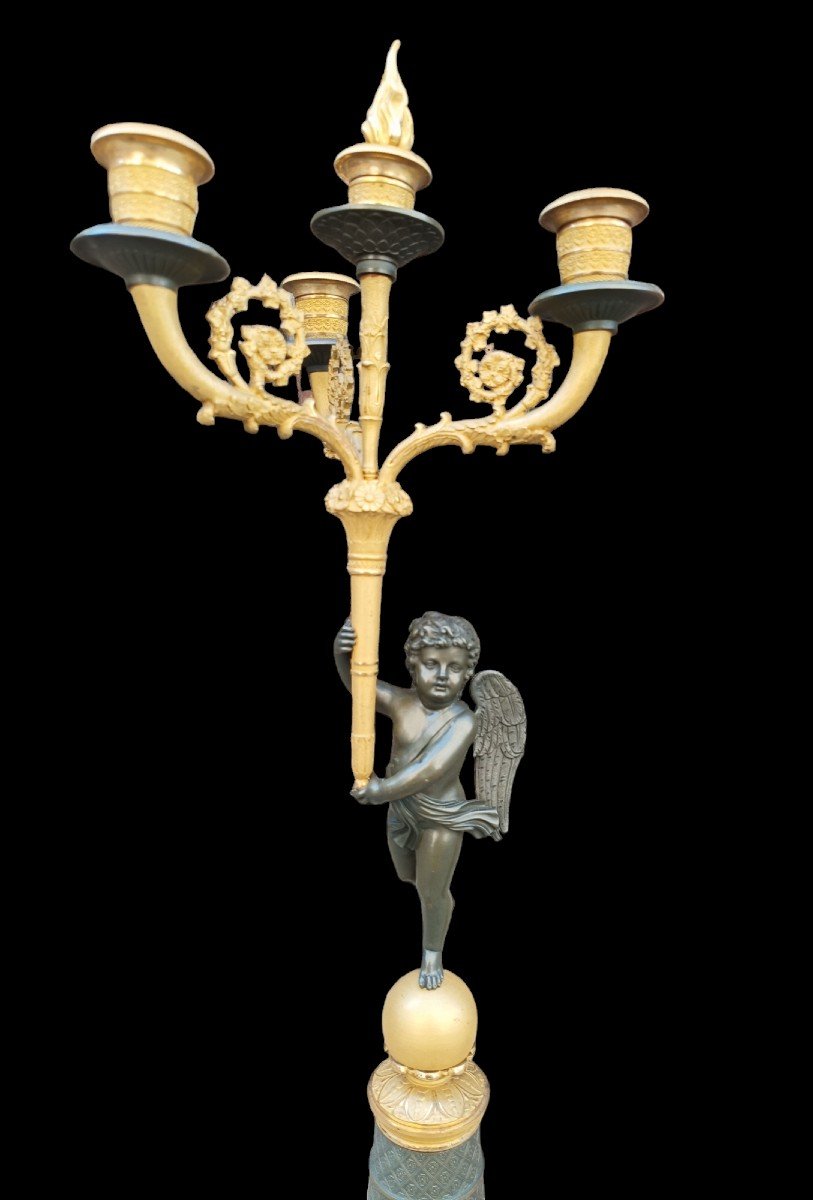 Paire De Flambeaux En Bronze Doré Et Bruni. France, époque Charles X (1824-1830).-photo-3