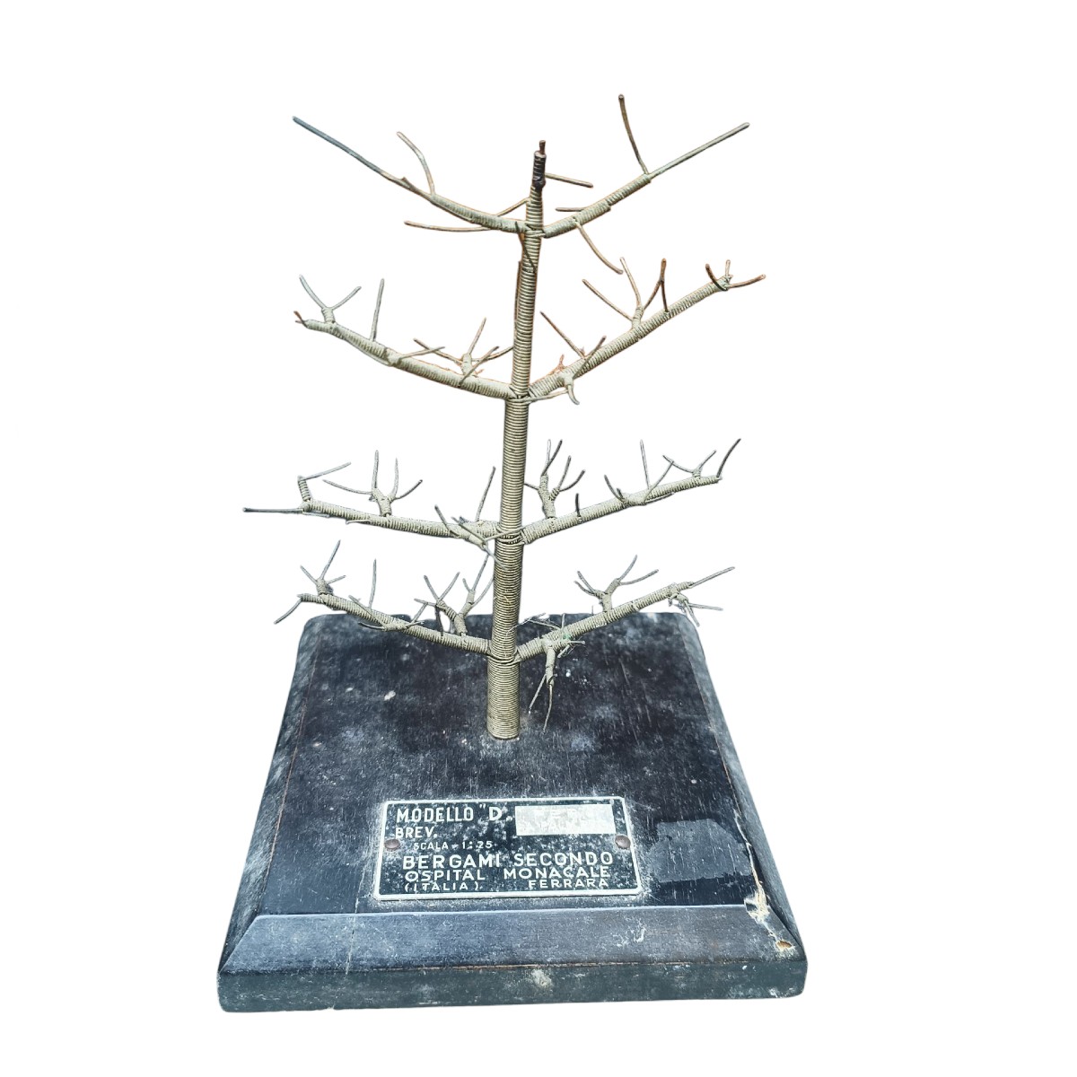 Maquettes d'arbres fruitiers. Italie, vers 1950.-photo-3