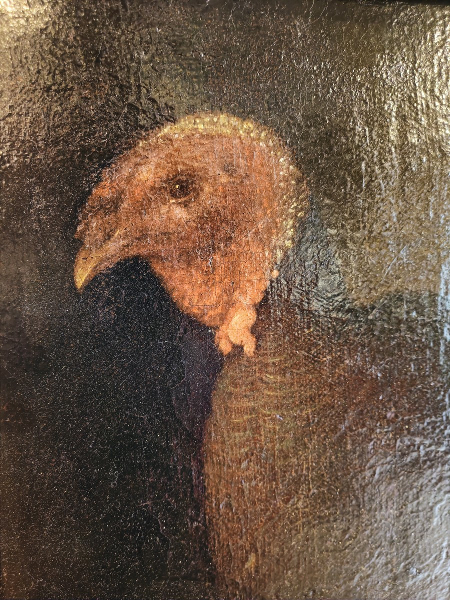 Huile sur toile représentant une dinde.  Entourage de Bartolomeo Bimbi (1648-1729).-photo-2