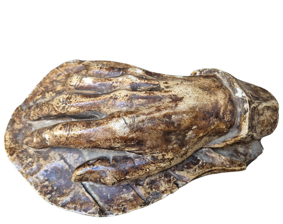 Patinated Plaster Hand.italy,19th Century.