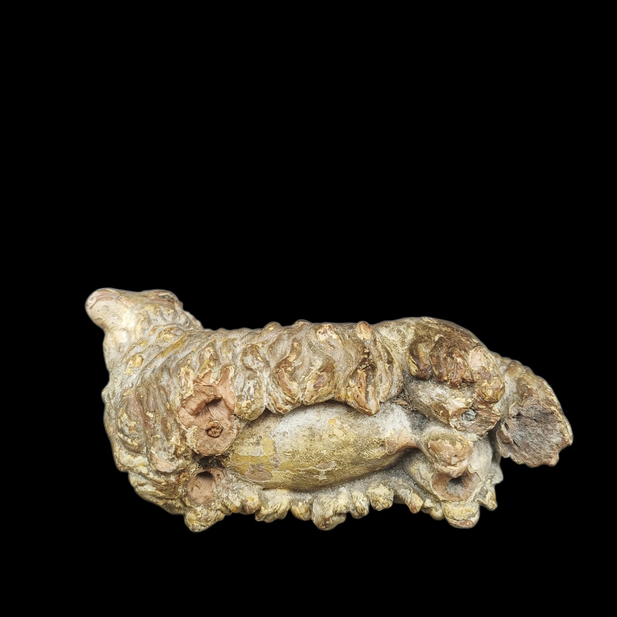 Sculpture en terre cuite représentant un mouton. Italie, XVIIIe siècle.-photo-4