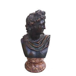 Bronze Bust Depicting The Apollo Del Belvedere. France, Late XIXth Century.