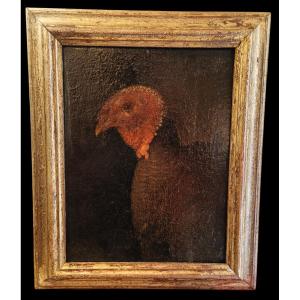 Huile sur toile représentant une dinde.  Entourage de Bartolomeo Bimbi (1648-1729).