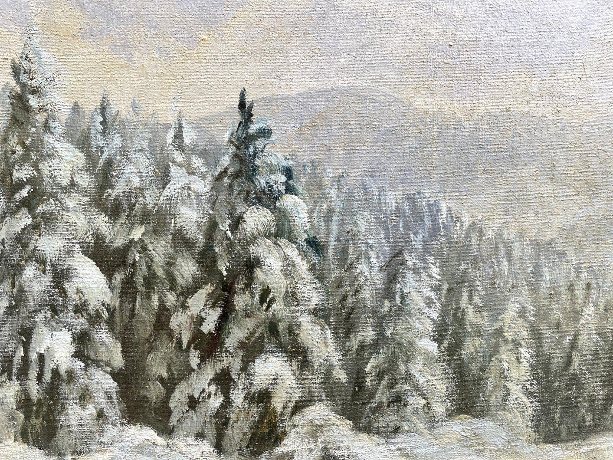 Erwin Waldow - Fox In The Snow -photo-2