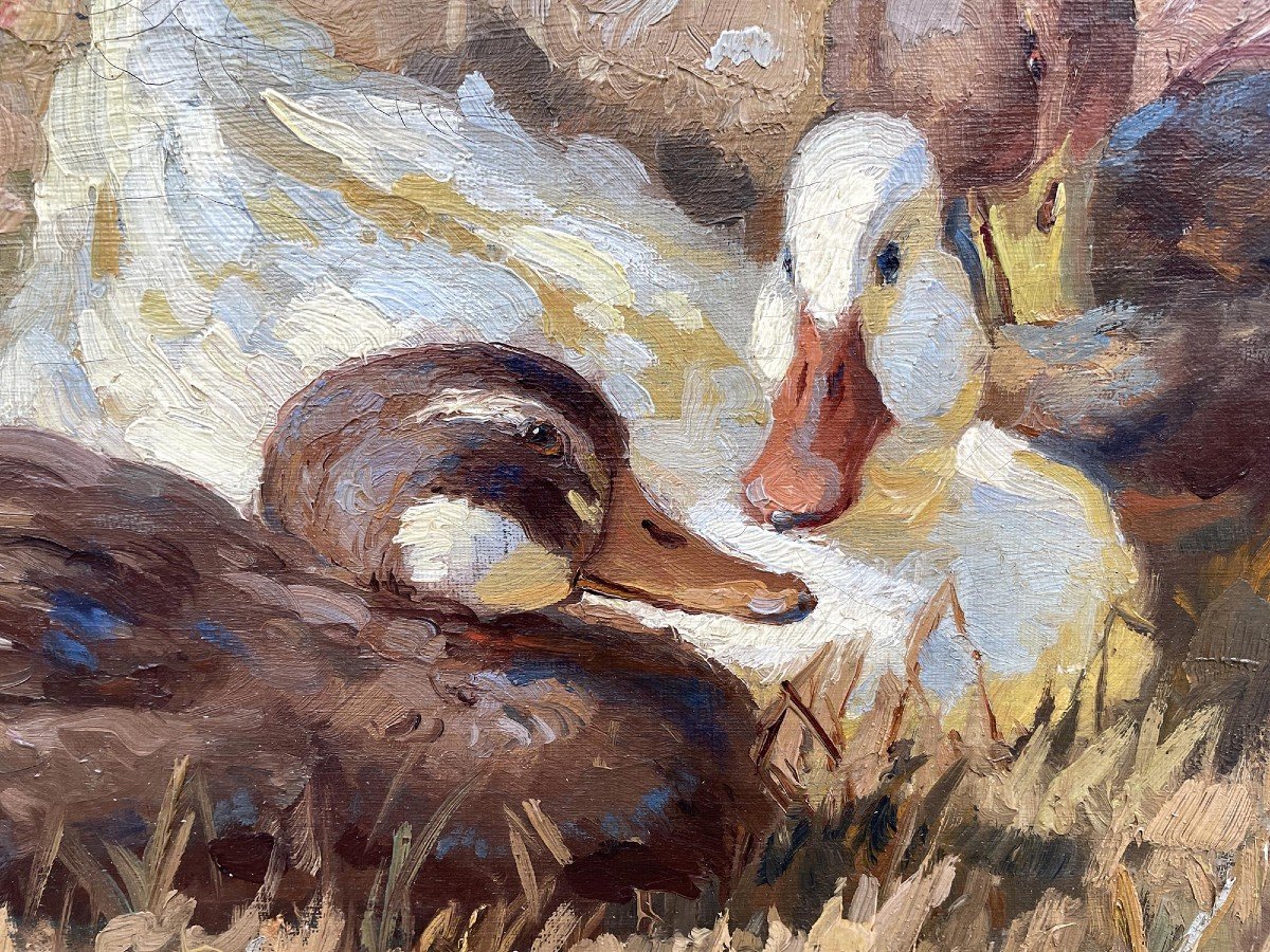 Canards – Keller-kühne Josef Woldemar -photo-4