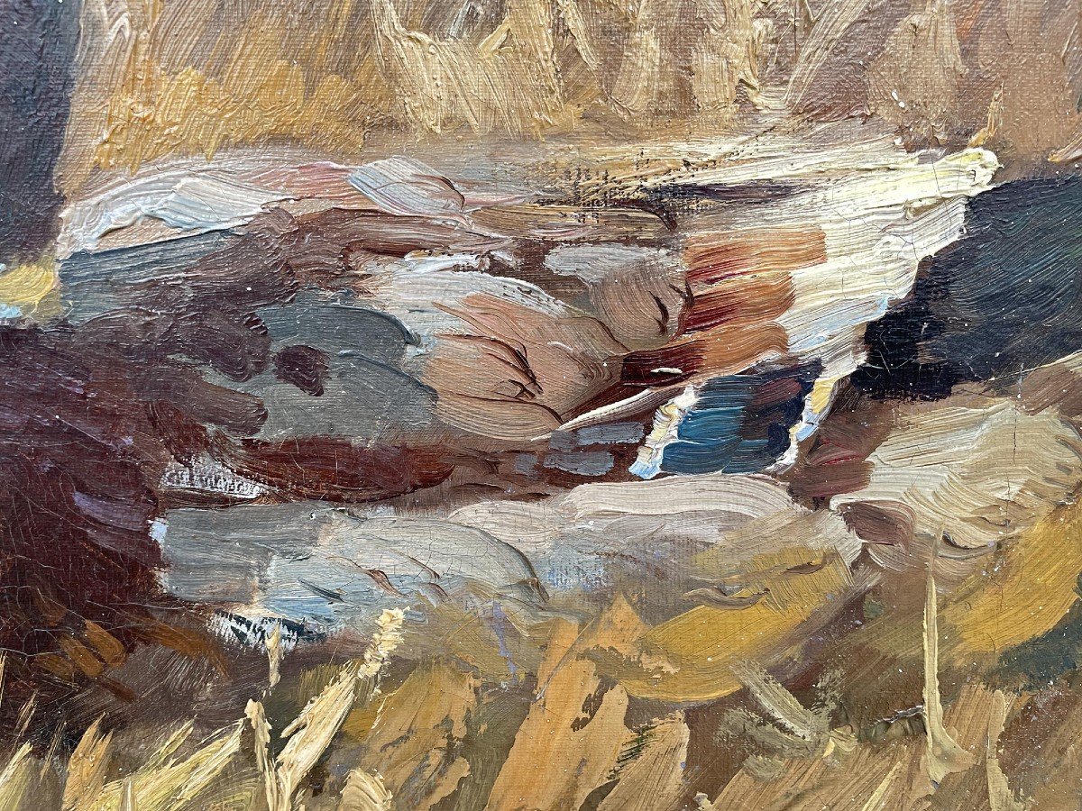 Canards – Keller-kühne Josef Woldemar -photo-7