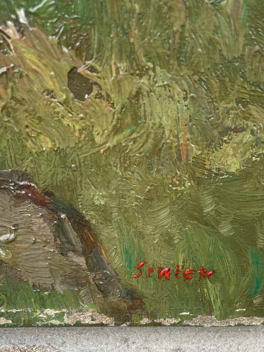 Paysage Alpin d'été  -photo-2