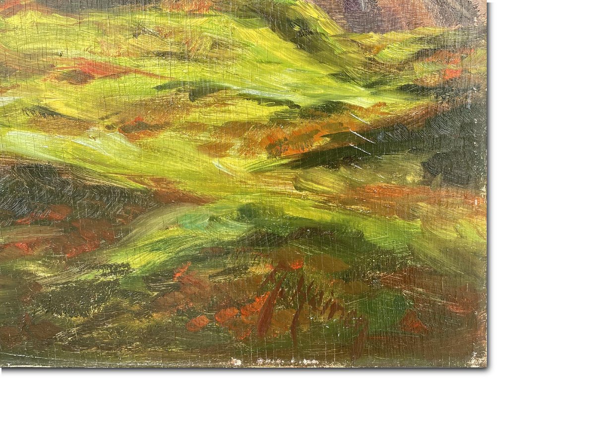 Massif de la Jungfrau – H. Heinen  -photo-4