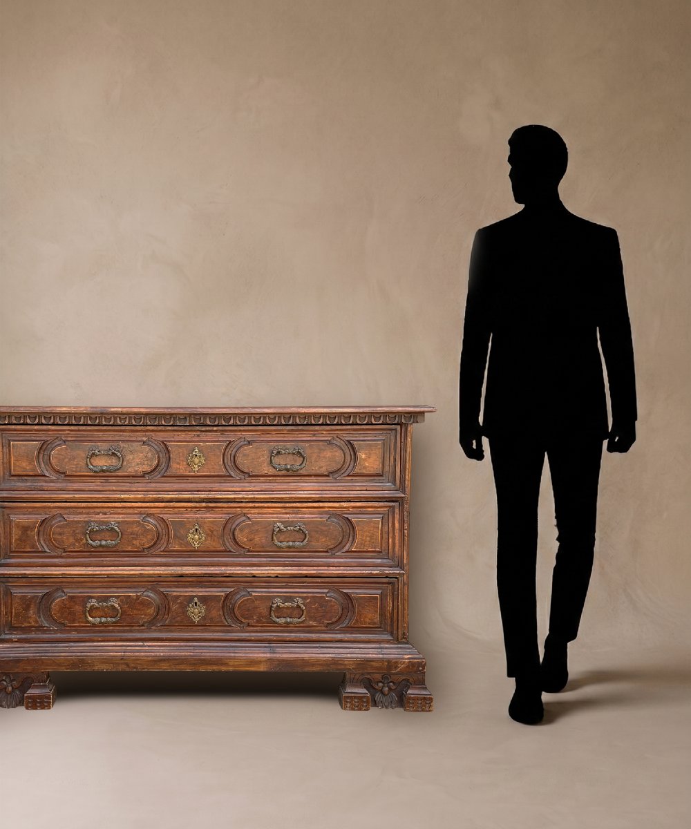 17th-century Friulian “canterano” Chest Of Drawers In Walnut-photo-6