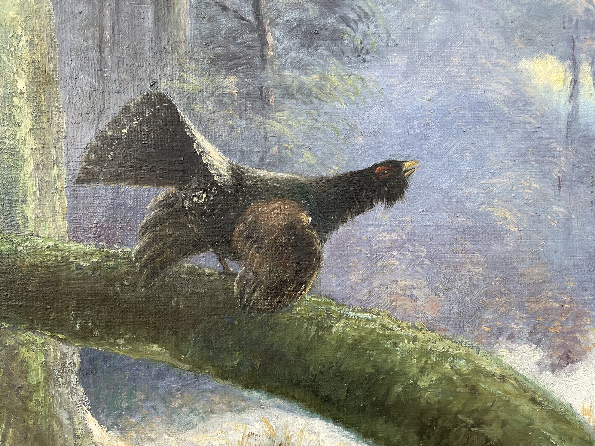 Winter Landscape With A Capercaillie-photo-4