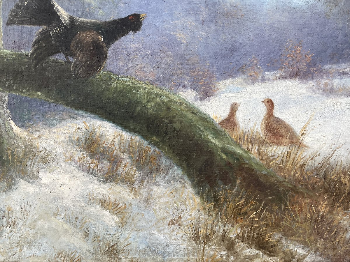 Winter Landscape With A Capercaillie-photo-3