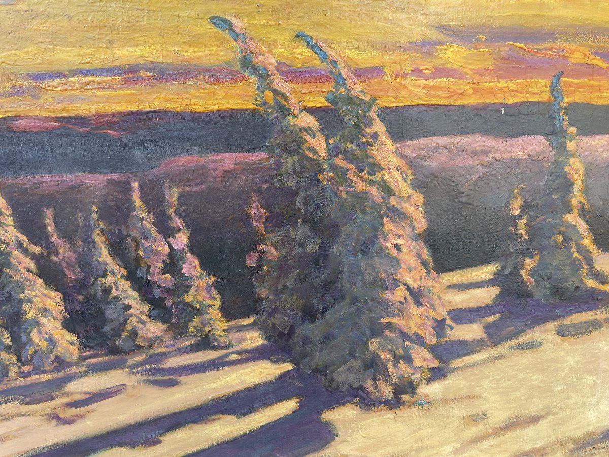 Snow-covered Fir Trees At Sunset-photo-3