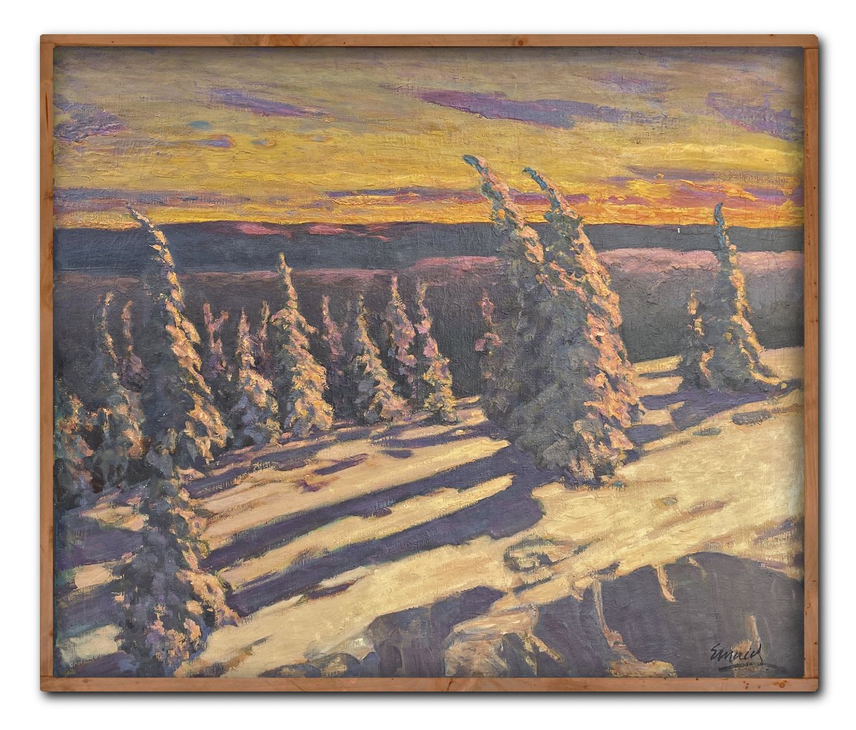 Snow-covered Fir Trees At Sunset