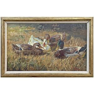 Ducks – Keller-kühne Josef Woldemar