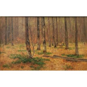 Chevreuil Dans Les Bois – Nelson Gray Kinsley