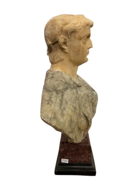 Various Marble Bust With Porphyry Base ( Not Original )-photo-3