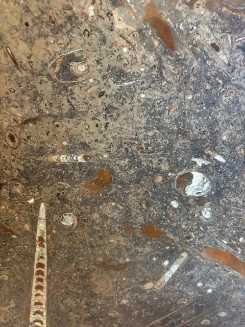 Round Fossil Stone Tabletop-photo-2