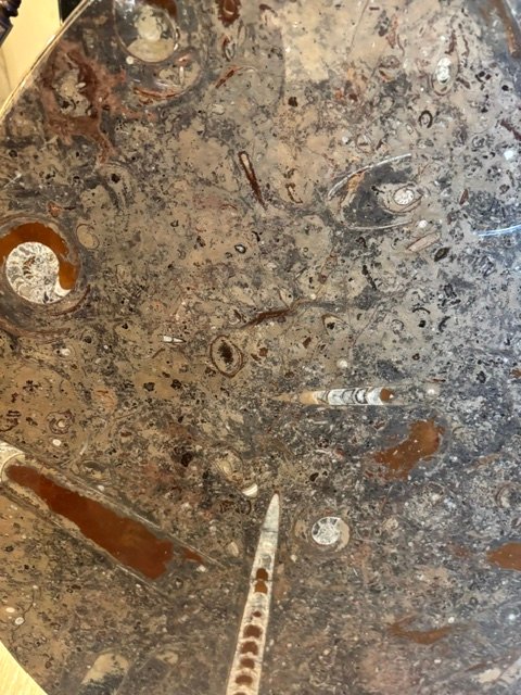 Round Fossil Stone Tabletop-photo-3