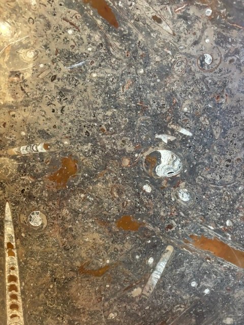 Round Fossil Stone Tabletop-photo-1