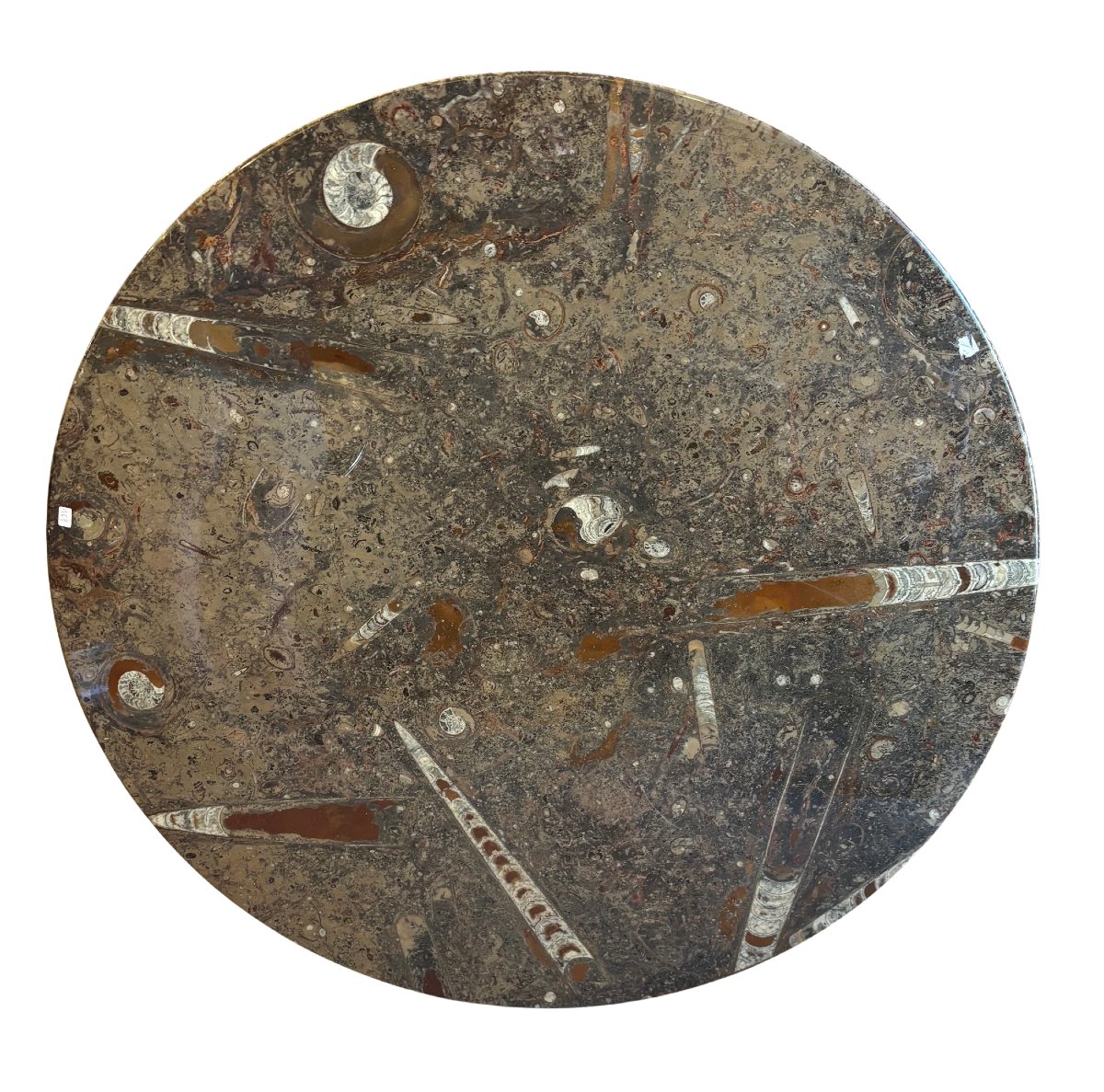 Round Fossil Stone Tabletop