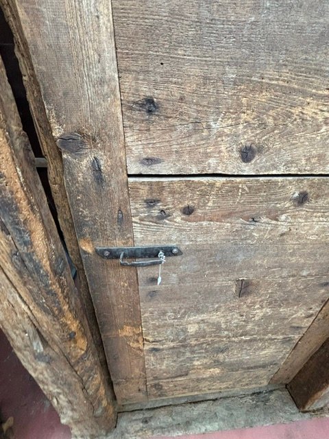 Porte en mélèze avec cadre d'origine, région alpine-photo-2