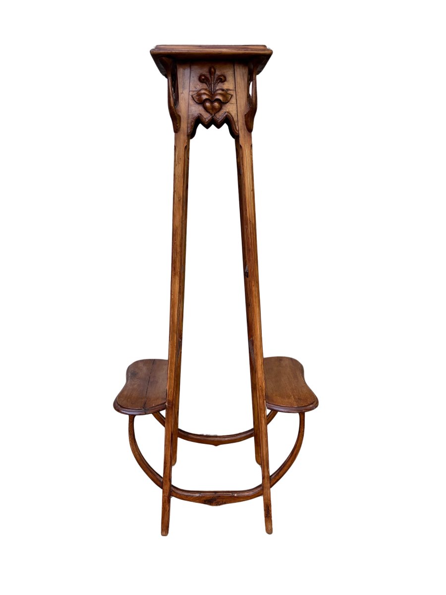 Carved Wooden Perch