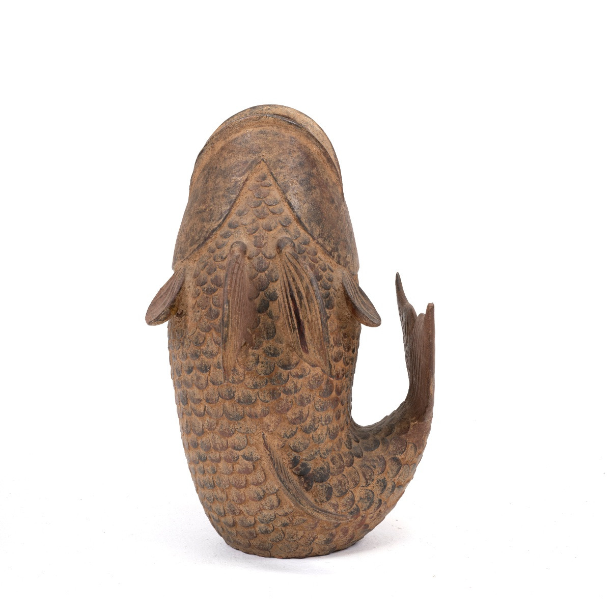 A Carp-photo-4