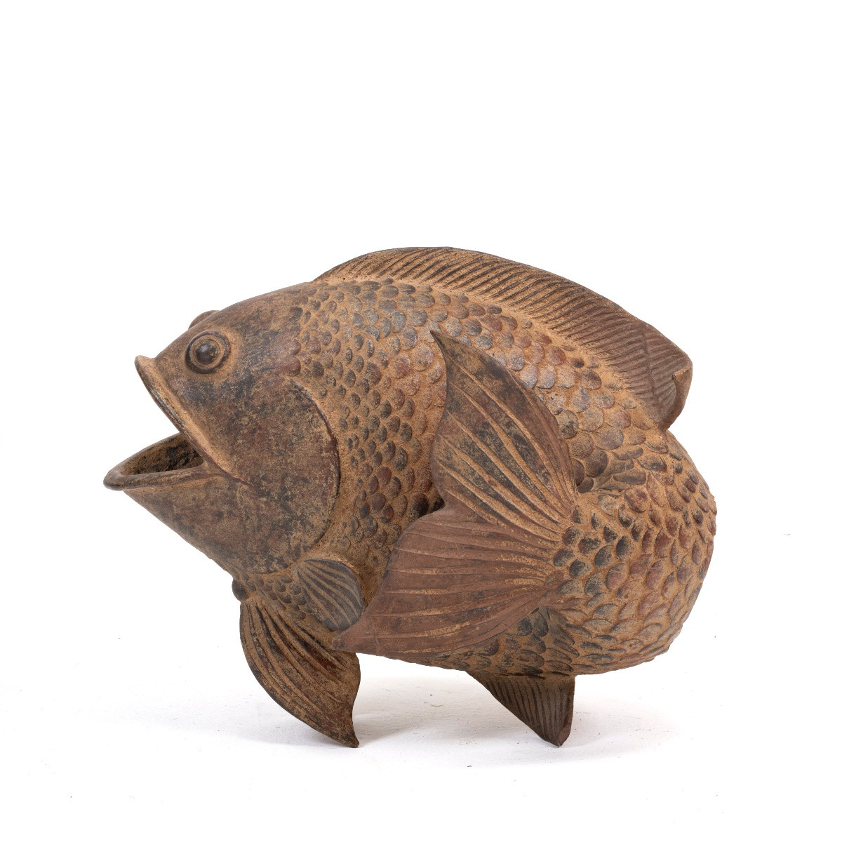 A Carp-photo-2