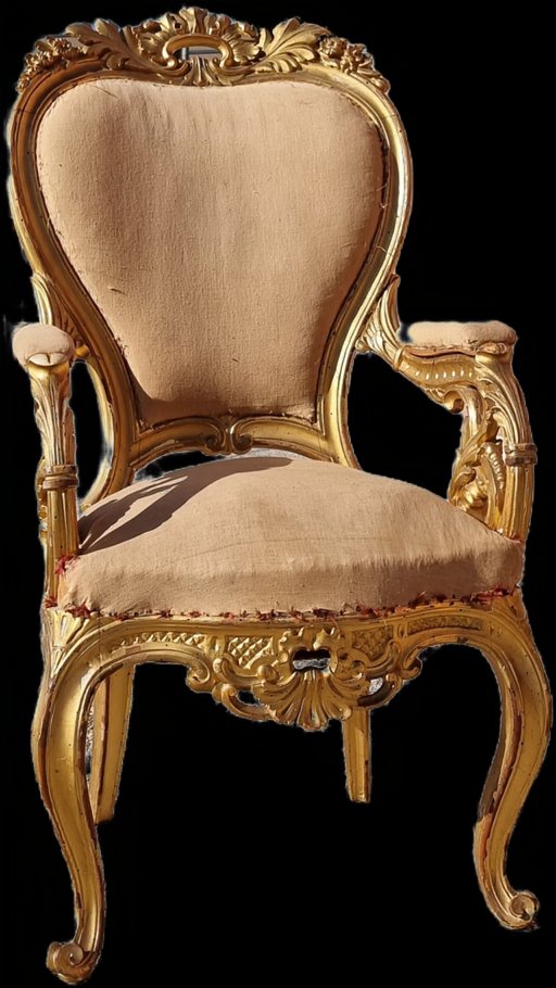 Salon noble sculpté et doré, style Charles X – XIXe siècle-photo-3