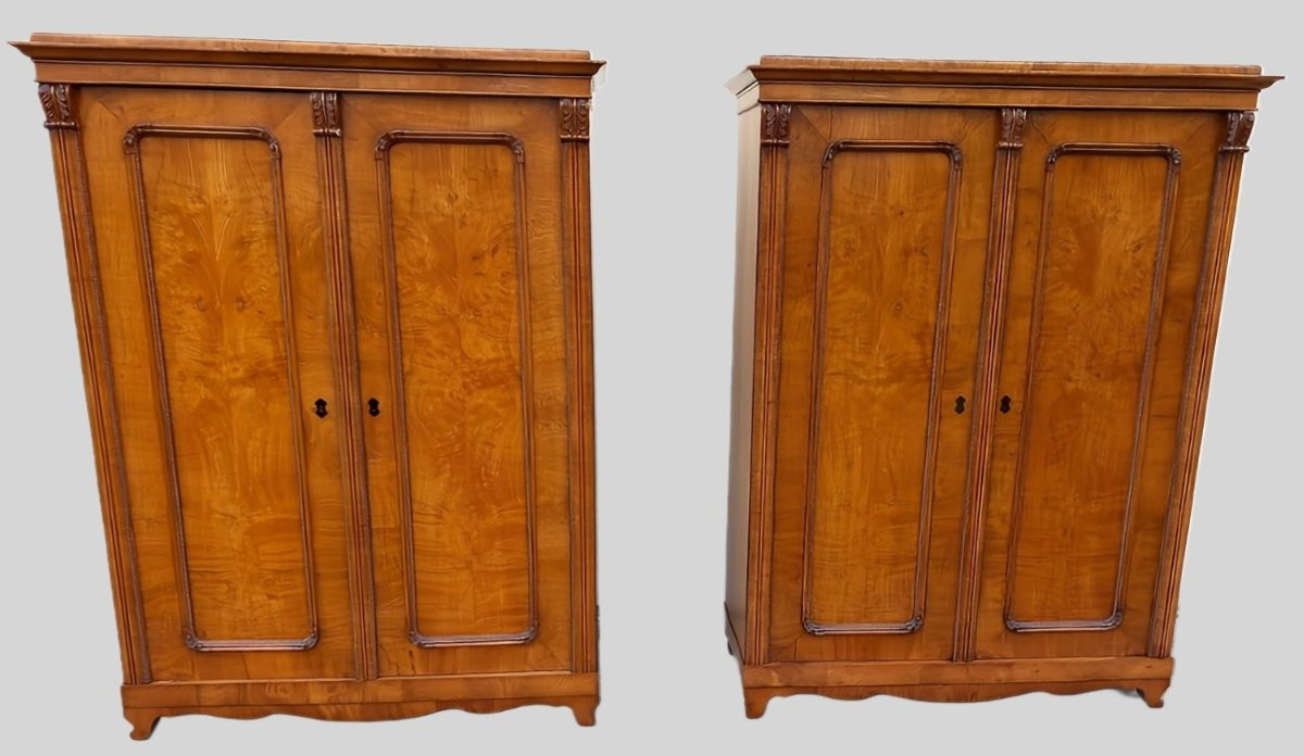 Pair Of Biedermeier Armoires In Elm Burl – Austria, Early 19th Century-photo-2