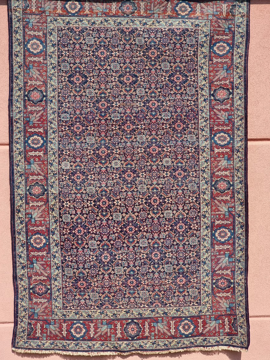 Tapis persan Afshar, motif « Mina Khani », bordure aux oiseaux, v. 1930–1950 — 208 × 140 cm-photo-1