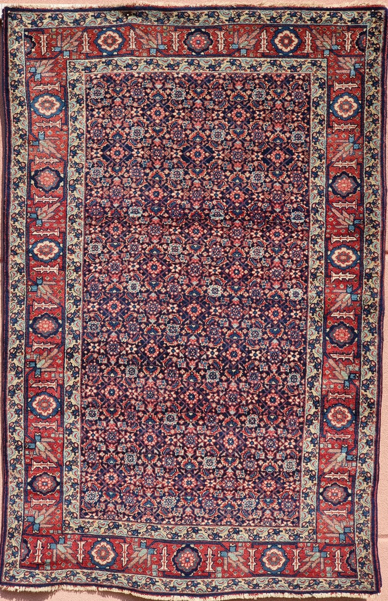 Tapis persan Afshar, motif « Mina Khani », bordure aux oiseaux, v. 1930–1950 — 208 × 140 cm