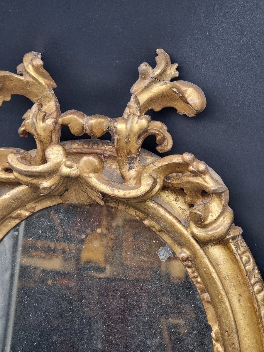 Oval Carved And Gilt Frame – Bologna, Early 18th Century-photo-2
