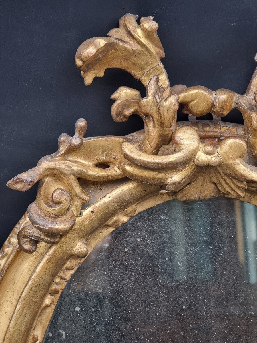 Oval Carved And Gilt Frame – Bologna, Early 18th Century-photo-4