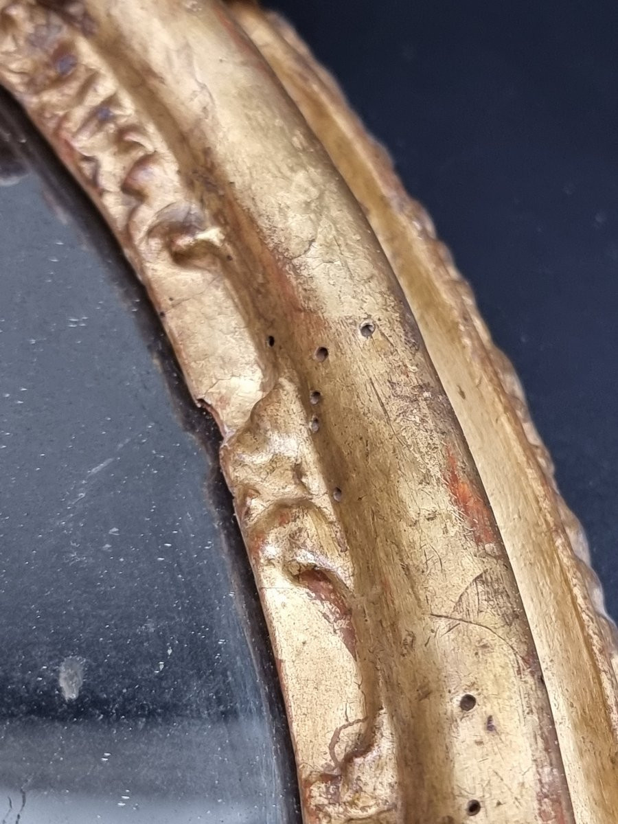 Oval Carved And Gilt Frame – Bologna, Early 18th Century-photo-5