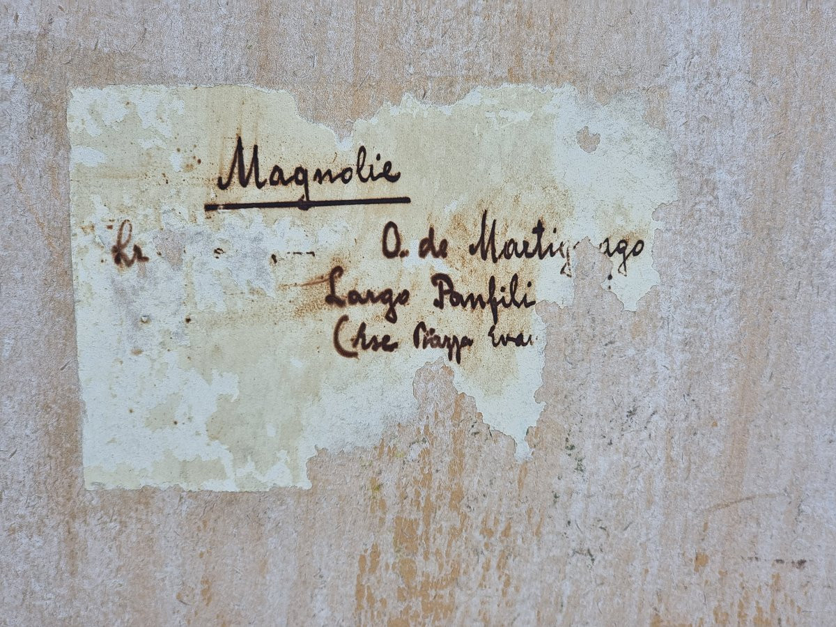 Martignago Otti (trieste), Magnolias, 1948-photo-2