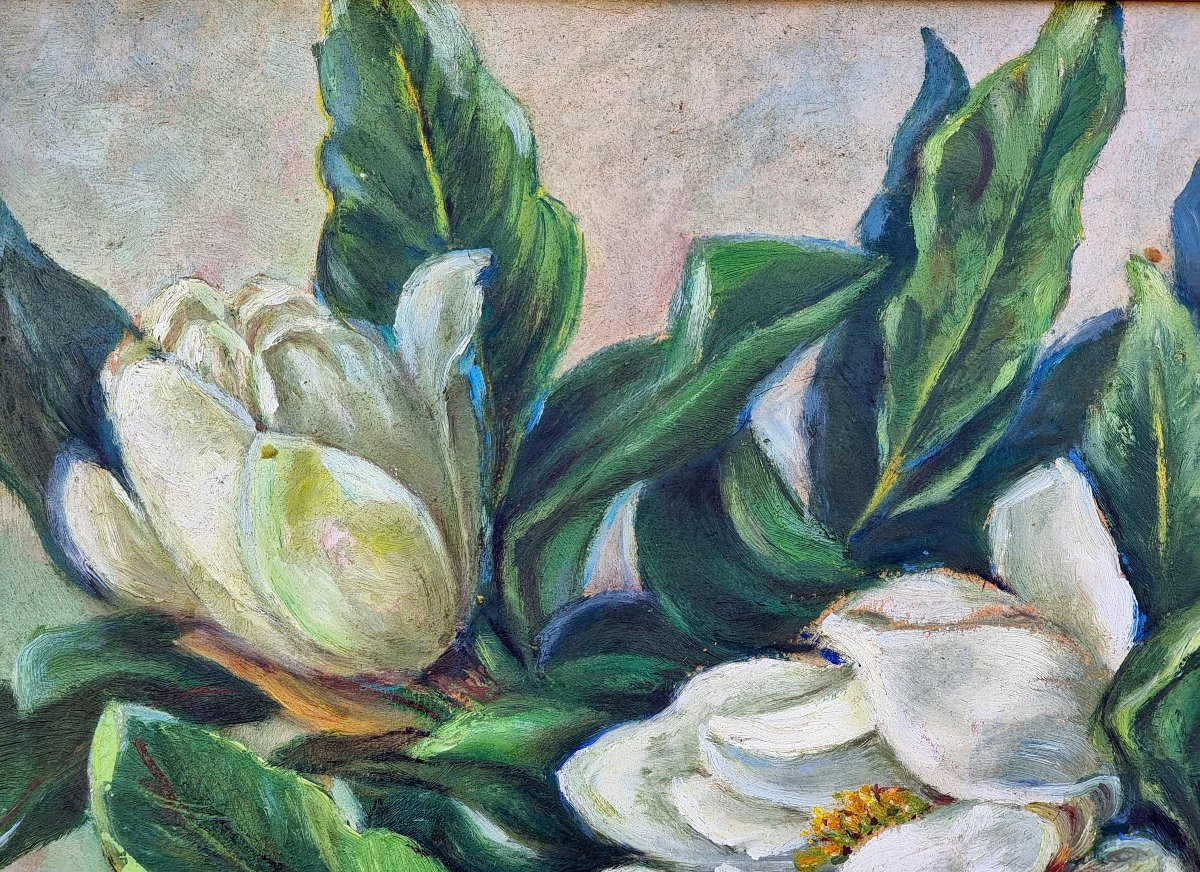 Martignago Otti (trieste), Magnolias, 1948-photo-2