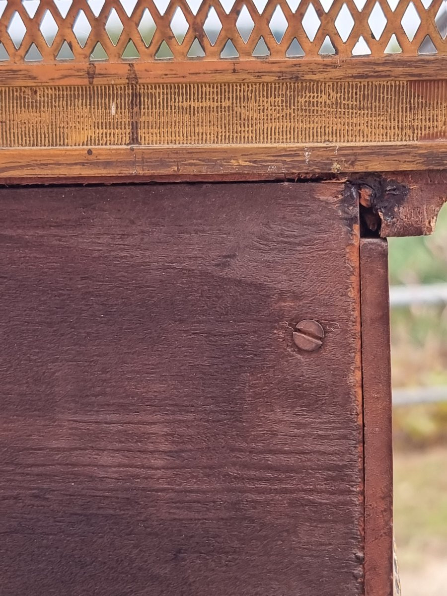 Mahogany And Gilt Bronze Display Cabinet – France, Napoleon III Period, Late 19th Century-photo-2