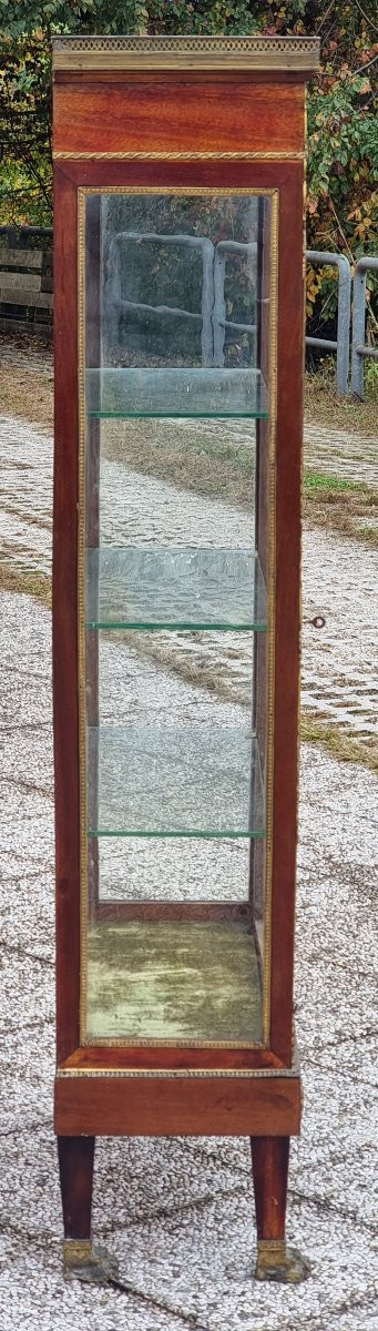Mahogany And Gilt Bronze Display Cabinet – France, Napoleon III Period, Late 19th Century-photo-4